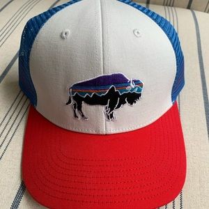 NWOT Patagonia baseball hat